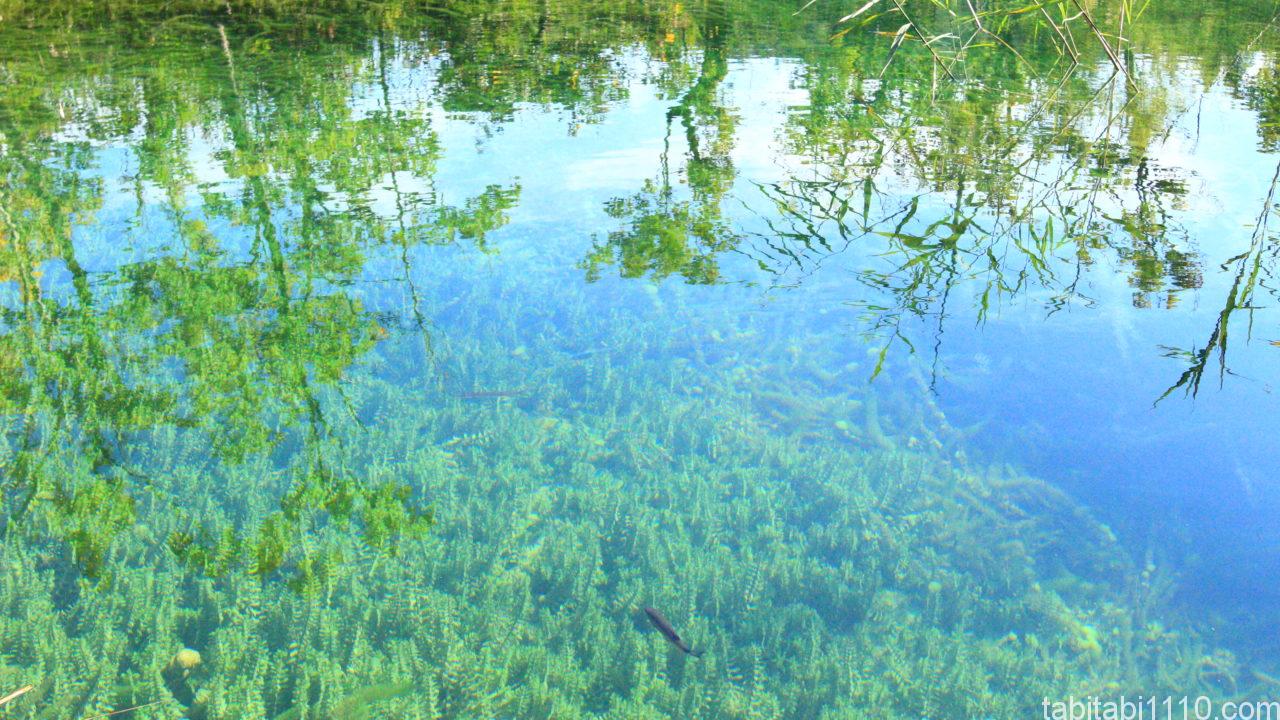 プリトヴィッチェ湖群国立公園