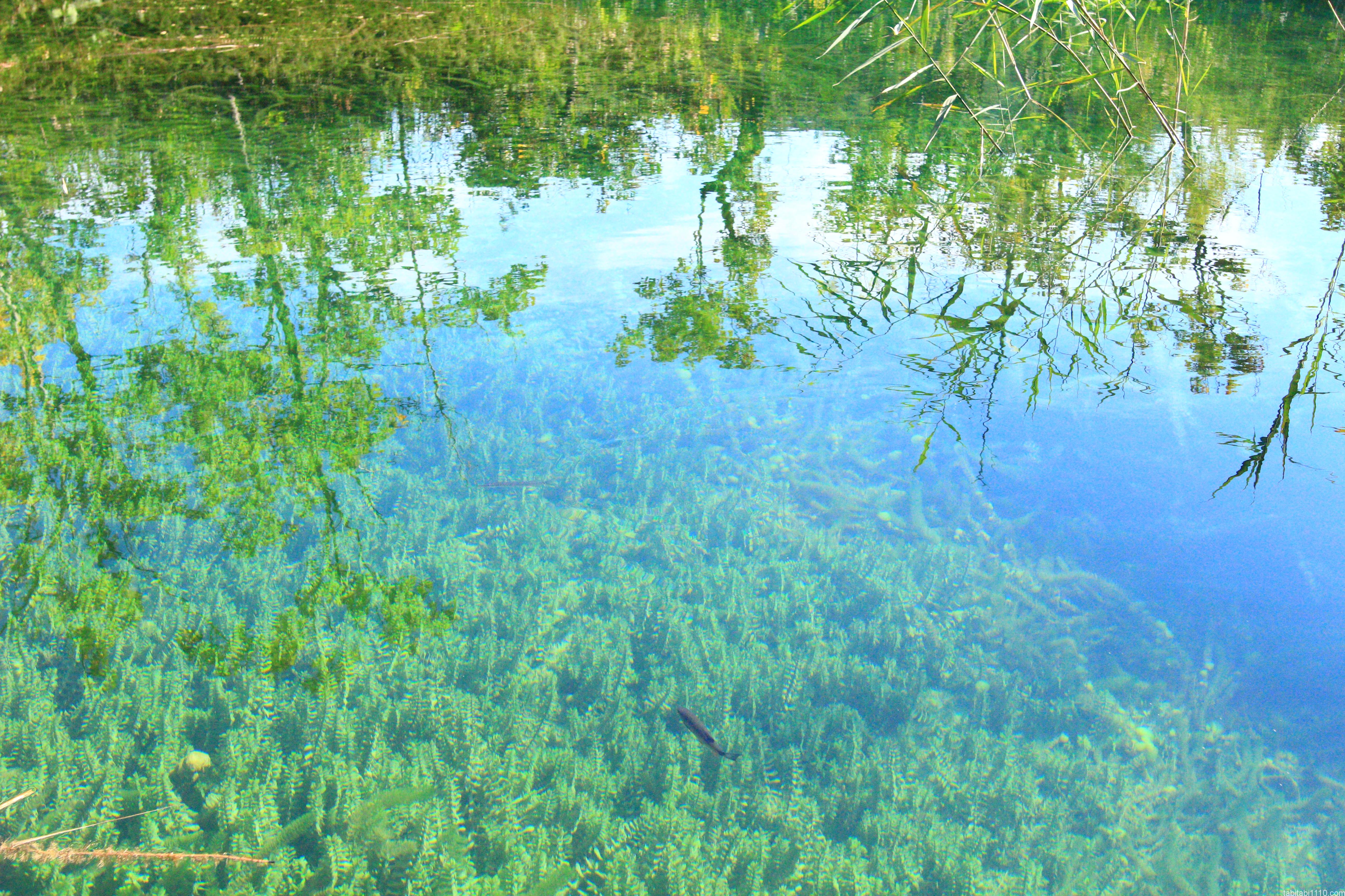 プリトヴィッチェ湖群国立公園