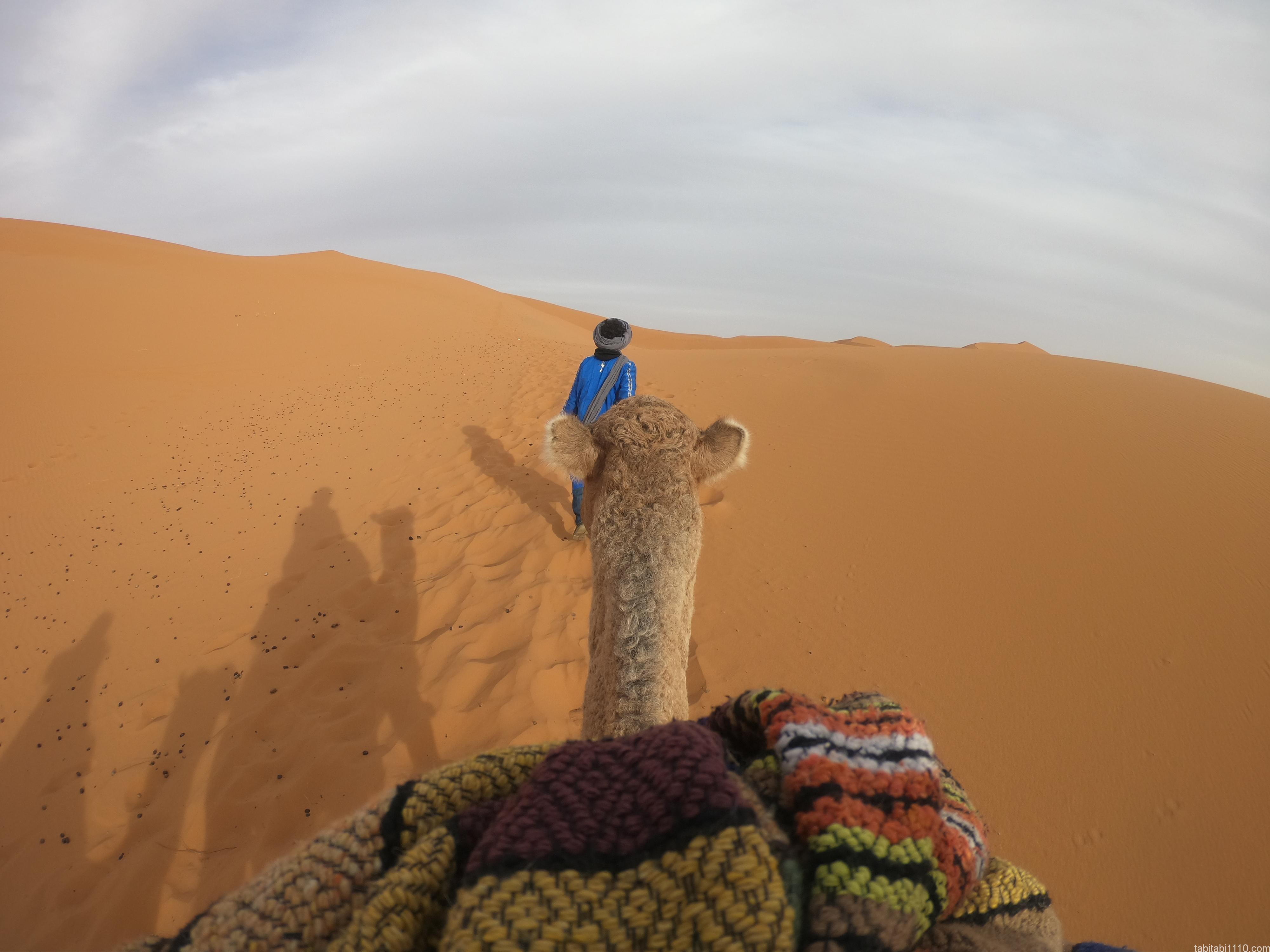 サハラ砂漠ツアー｜ラクダからの景色
