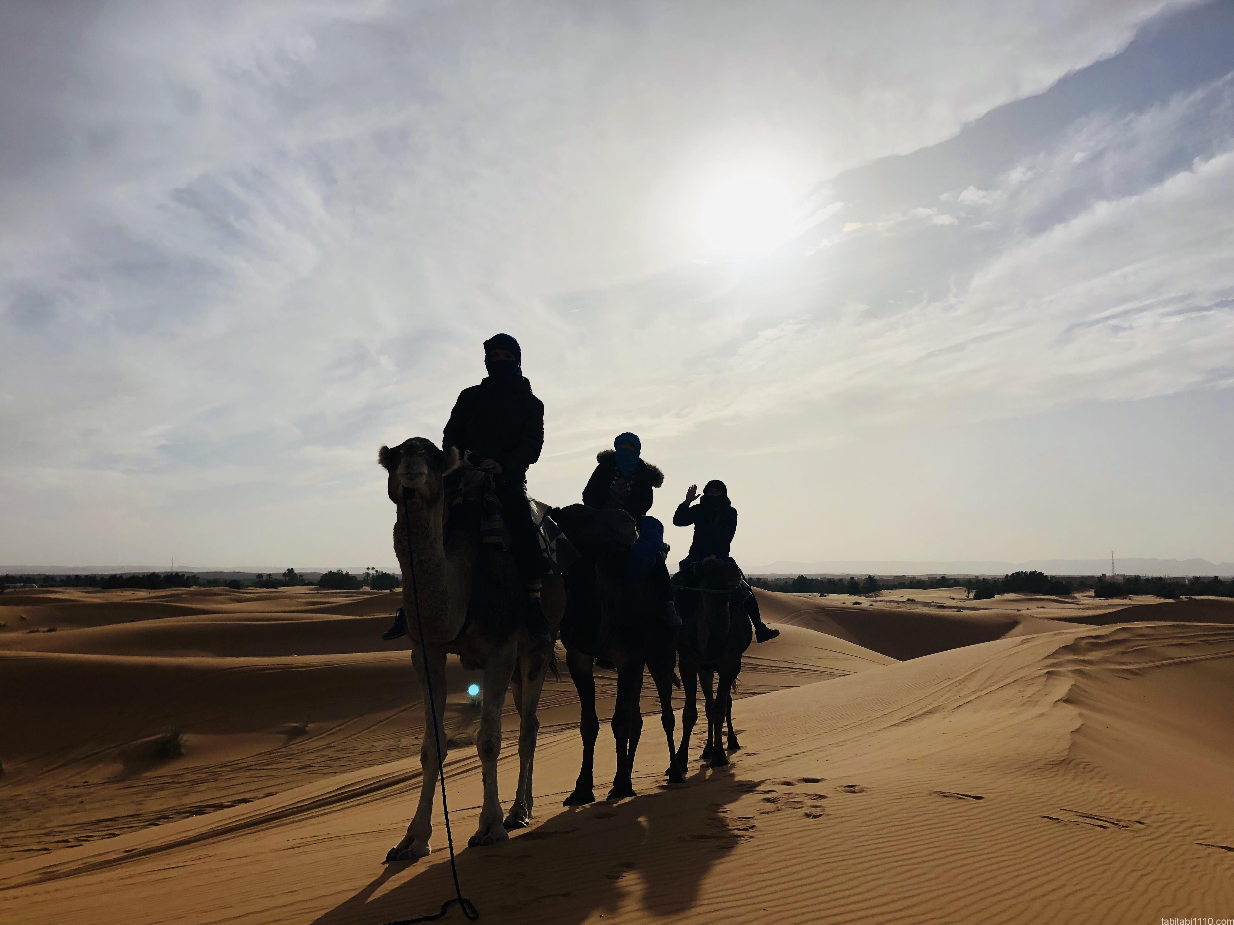 サハラ砂漠ツアー｜ラクダの隊列
