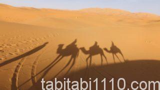 サハラ砂漠ツアー｜ラクダの隊列