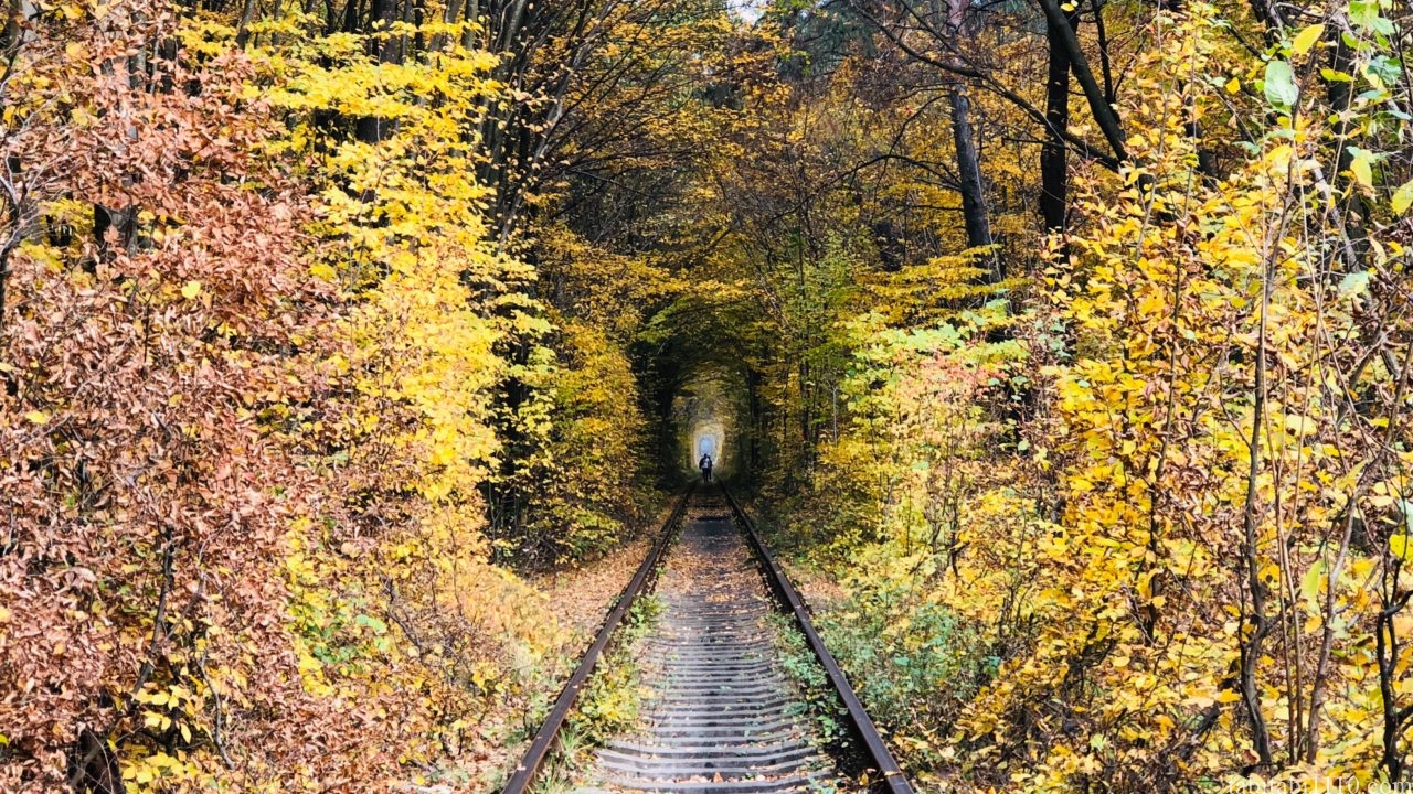 ウクライナ　愛のトンネル　秋